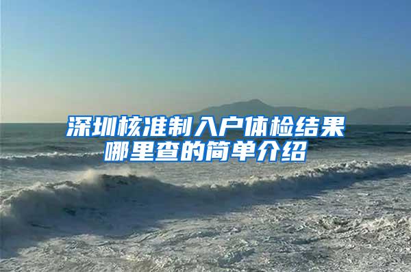 深圳核准制入户体检结果哪里查的简单介绍