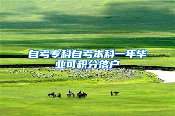 自考专科自考本科一年毕业可积分落户