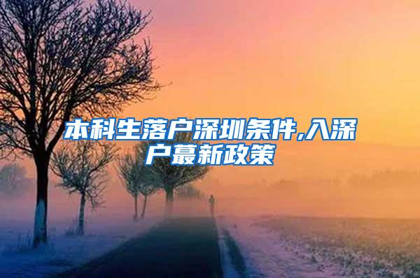 本科生落户深圳条件,入深户蕞新政策