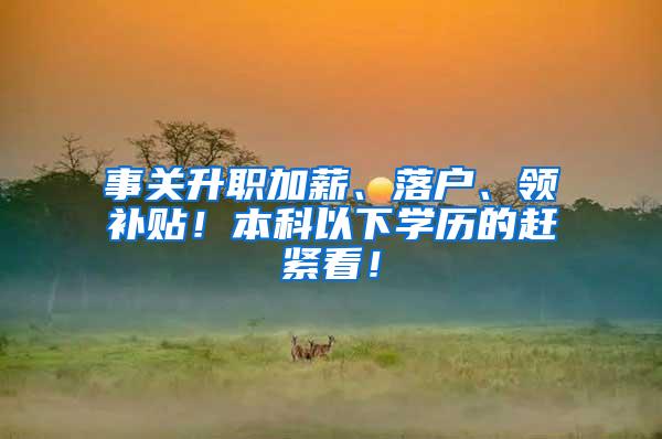 事关升职加薪、落户、领补贴！本科以下学历的赶紧看！