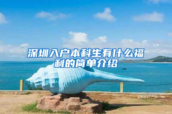 深圳入户本科生有什么福利的简单介绍