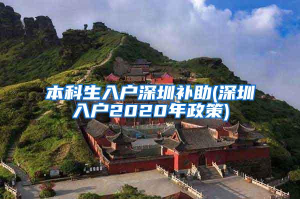 本科生入户深圳补助(深圳入户2020年政策)