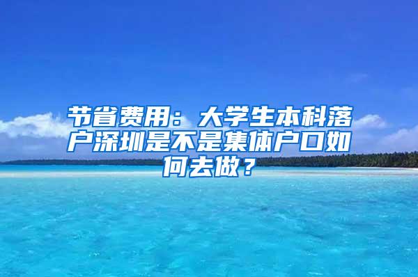 节省费用：大学生本科落户深圳是不是集体户口如何去做？