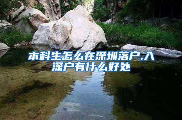 本科生怎么在深圳落户,入深户有什么好处