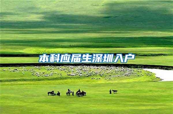 本科应届生深圳入户