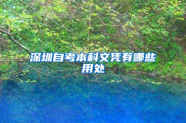 深圳自考本科文凭有哪些用处