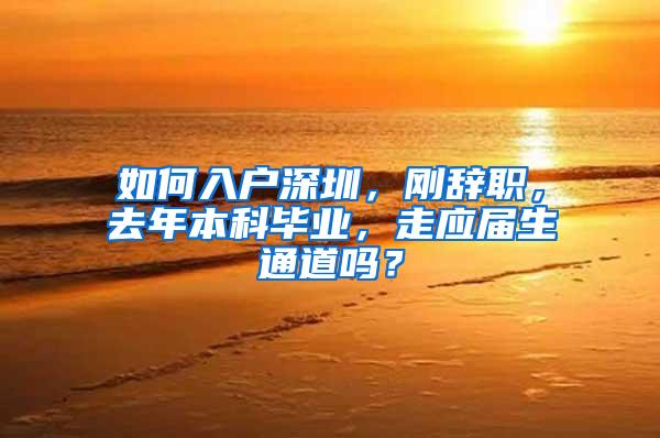 如何入户深圳，刚辞职，去年本科毕业，走应届生通道吗？