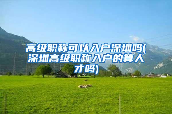 高级职称可以入户深圳吗(深圳高级职称入户的算人才吗)