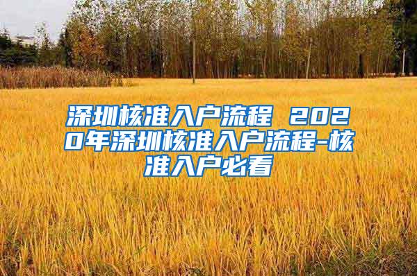 深圳核准入户流程 2020年深圳核准入户流程-核准入户必看