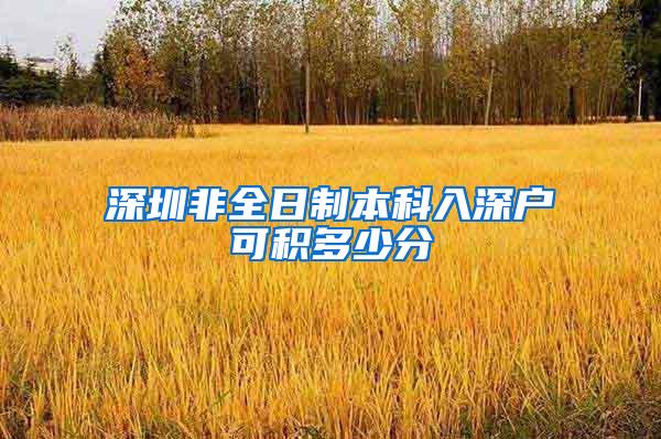 深圳非全日制本科入深户可积多少分