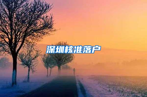 深圳核准落户