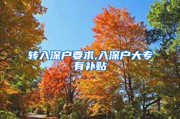 转入深户要求,入深户大专有补贴