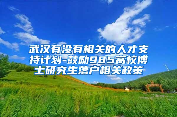 武汉有没有相关的人才支持计划-鼓励985高校博士研究生落户相关政策