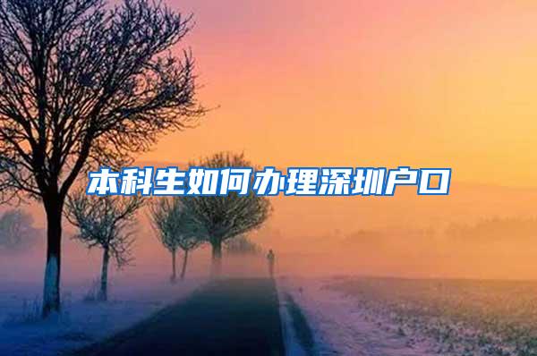 本科生如何办理深圳户口