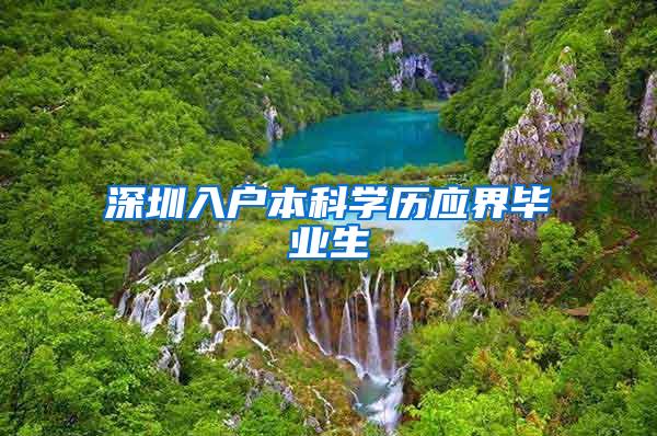 深圳入户本科学历应界毕业生