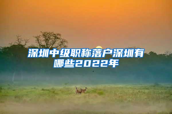 深圳中级职称落户深圳有哪些2022年