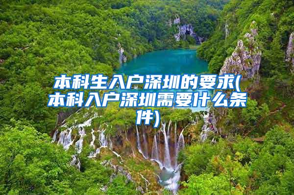 本科生入户深圳的要求(本科入户深圳需要什么条件)