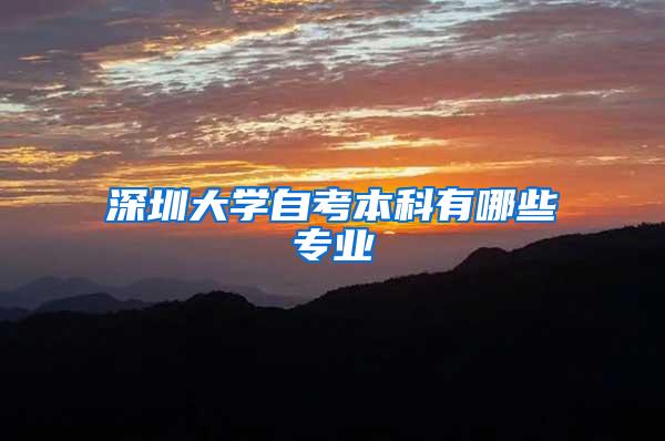 深圳大学自考本科有哪些专业