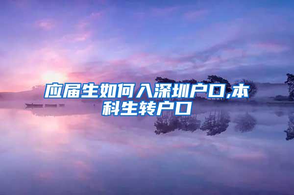 应届生如何入深圳户口,本科生转户口
