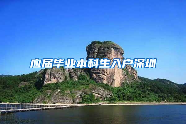 应届毕业本科生入户深圳
