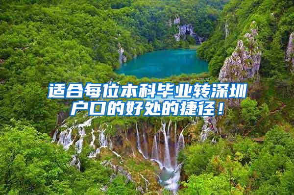 适合每位本科毕业转深圳户口的好处的捷径！
