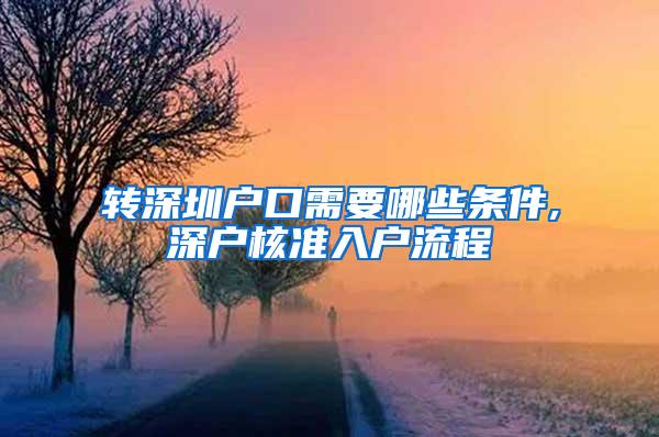 转深圳户口需要哪些条件,深户核准入户流程