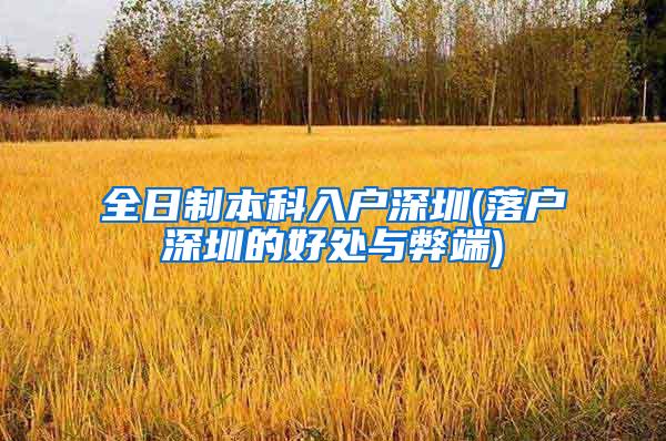全日制本科入户深圳(落户深圳的好处与弊端)