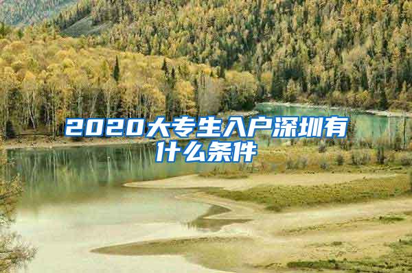2020大专生入户深圳有什么条件