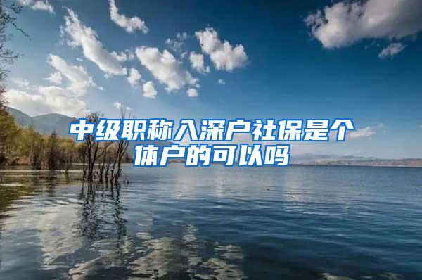 中级职称入深户社保是个体户的可以吗