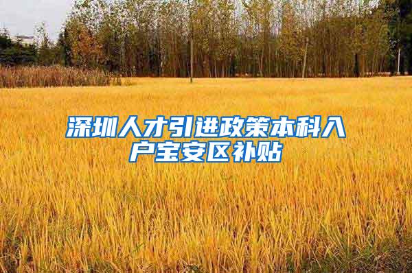 深圳人才引进政策本科入户宝安区补贴