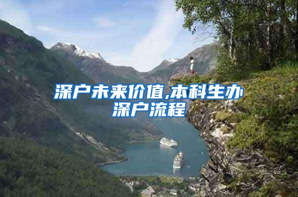 深户未来价值,本科生办深户流程