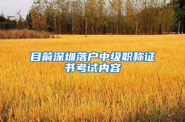 目前深圳落户中级职称证书考试内容