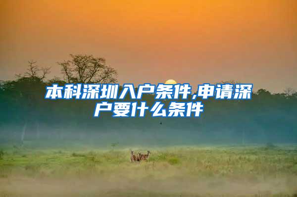 本科深圳入户条件,申请深户要什么条件
