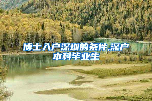 博士入户深圳的条件,深户本科毕业生