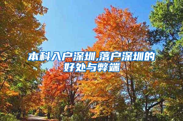 本科入户深圳,落户深圳的好处与弊端