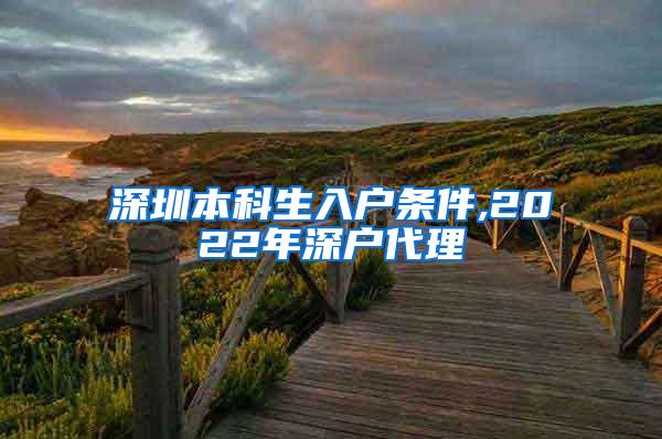 深圳本科生入户条件,2022年深户代理
