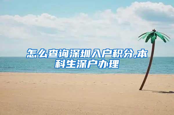 怎么查询深圳入户积分,本科生深户办理