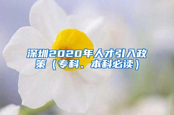 深圳2020年人才引入政策（专科、本科必读）