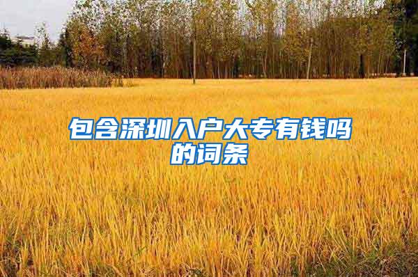 包含深圳入户大专有钱吗的词条