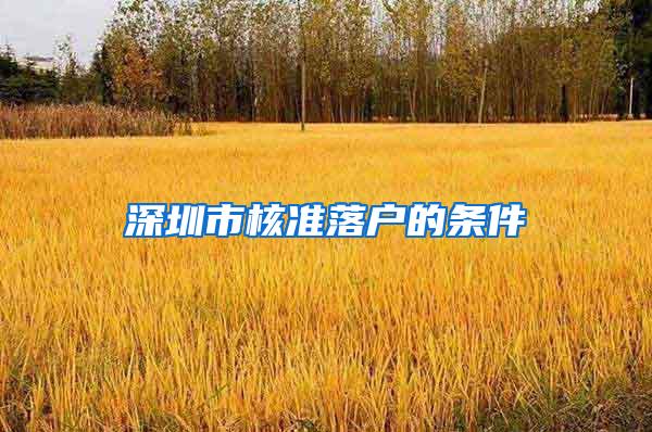 深圳市核准落户的条件