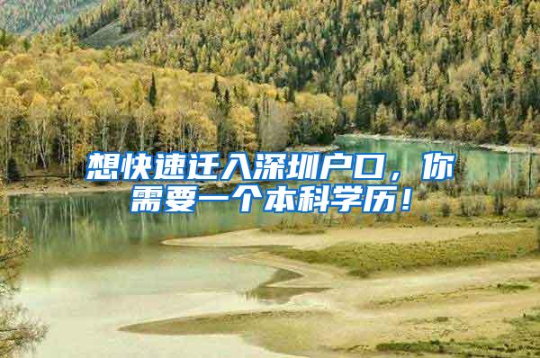 想快速迁入深圳户口，你需要一个本科学历！