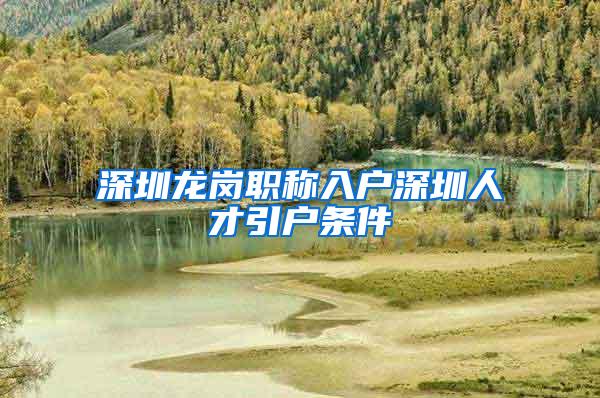深圳龙岗职称入户深圳人才引户条件