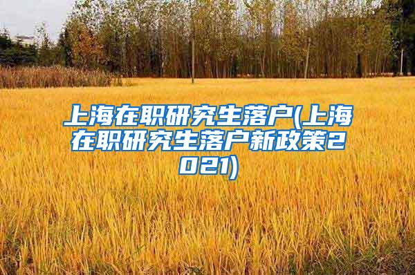 上海在职研究生落户(上海在职研究生落户新政策2021)