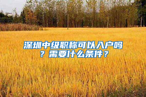 深圳中级职称可以入户吗？需要什么条件？