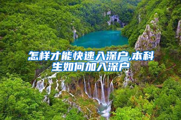 怎样才能快速入深户,本科生如何加入深户