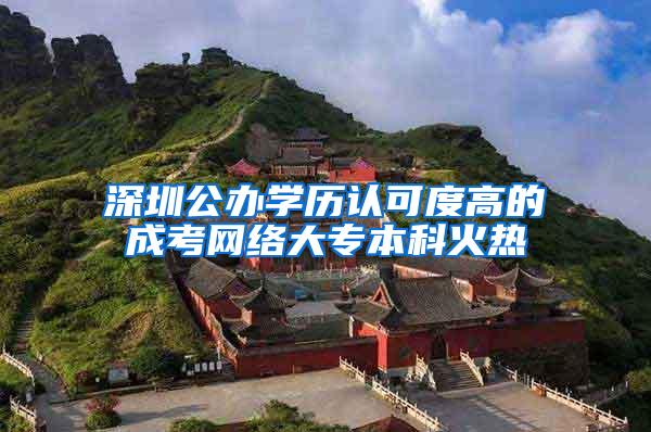深圳公办学历认可度高的成考网络大专本科火热