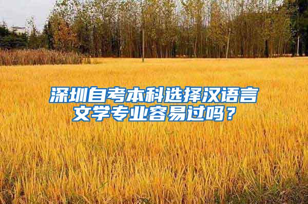 深圳自考本科选择汉语言文学专业容易过吗？