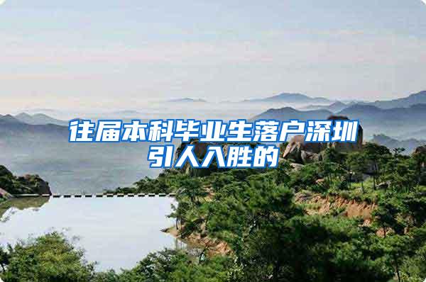 往届本科毕业生落户深圳引人入胜的