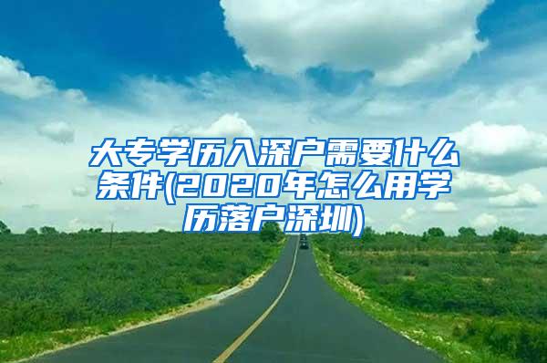 大专学历入深户需要什么条件(2020年怎么用学历落户深圳)