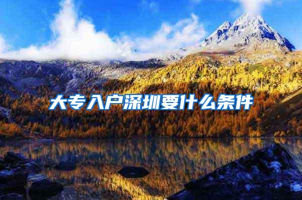大专入户深圳要什么条件